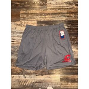 Pel Athletic Centennial Grey Mesh Gym Shorts Mens XL NWT New (263)